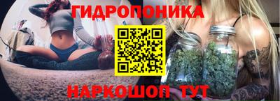 молекула духа Ливны