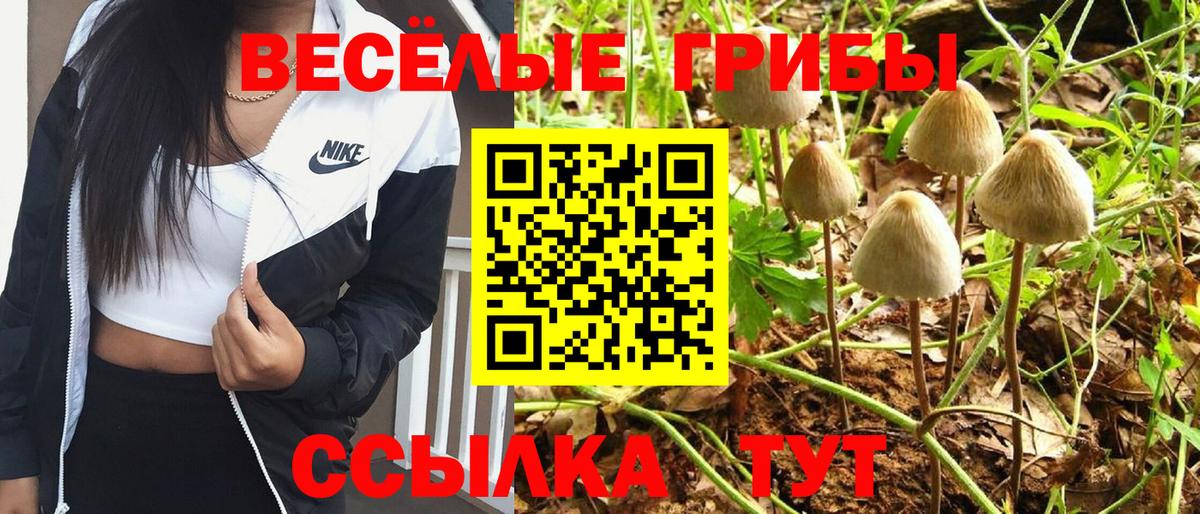 Псилоцибиновые грибы прущие грибы  Галлюциногенные грибы Magic Shrooms  Вход с VPN  Ефремов 